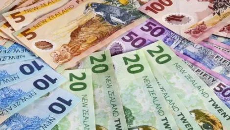 New zealand money