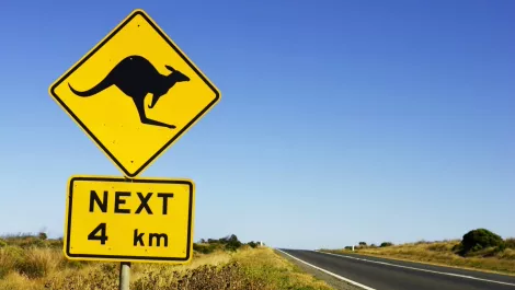 Kangaroo sign