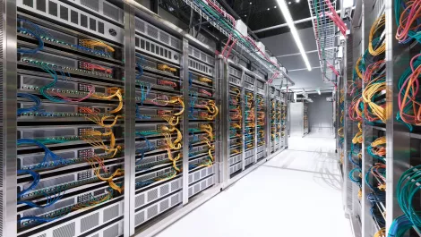 14434914 10154551936579235 2836357967473794534 o