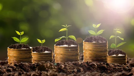 Thinkstockphotos 510640972 1