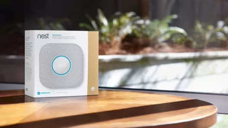 Nest 1