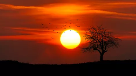 Screen shot 2018 07 06 at 3