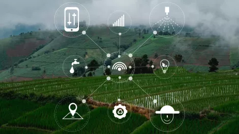 Gettyimages 1268422203