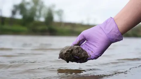 Working with silt or soil after flooding